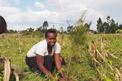 Tree planting in Upendo (Love) garden