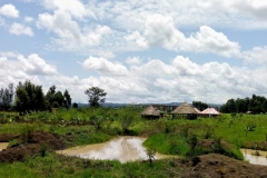 Upendo (love) garden