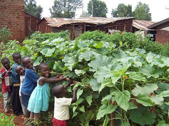 Holzer Permaculture in Kenya