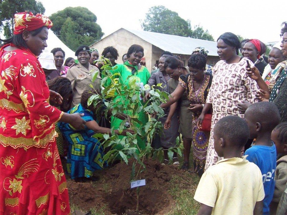 OTEPIC tree planting