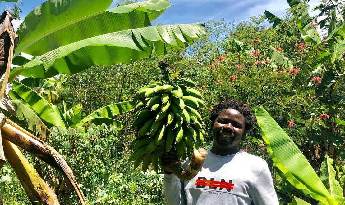 Black man standing next to a banana fruit