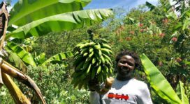 Black man standing next to a banana fruit