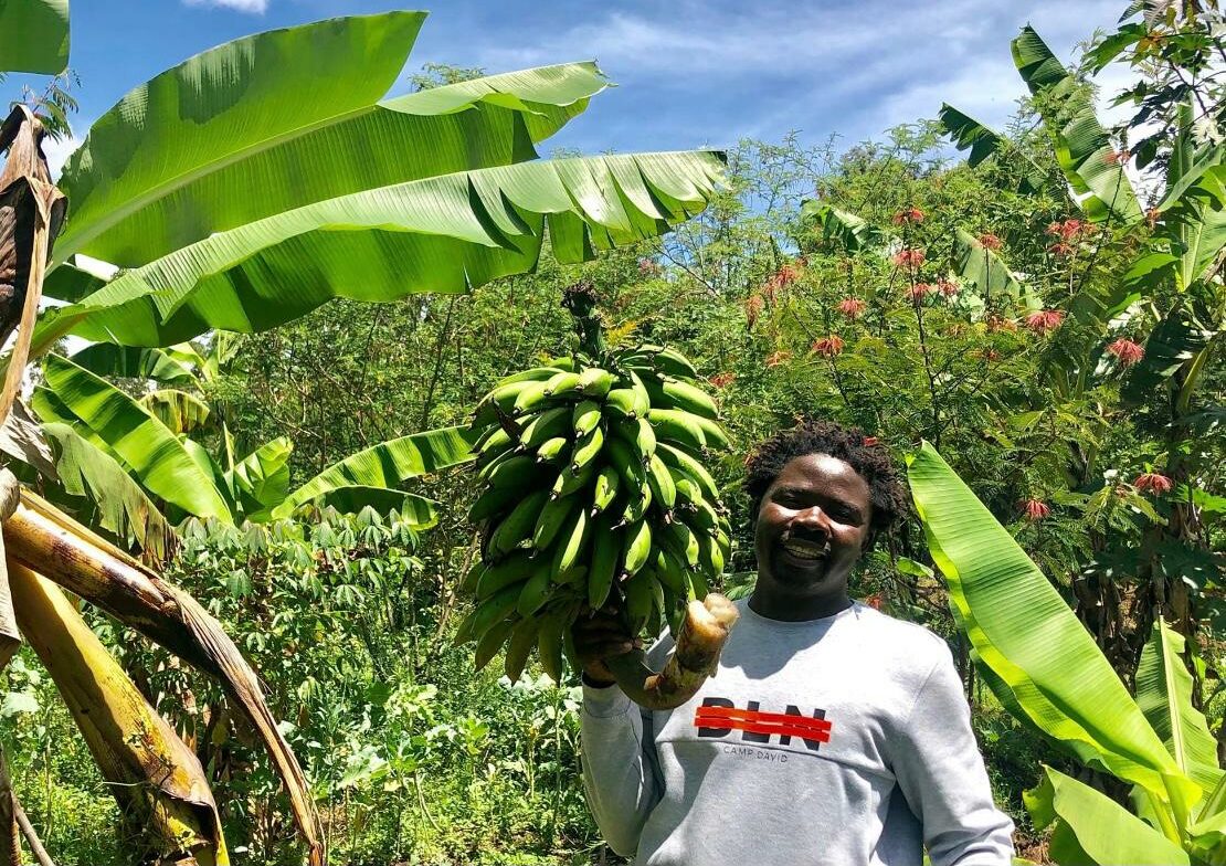 “Farming the African Way” – Creating a bare soil into bountiful Upendo garden