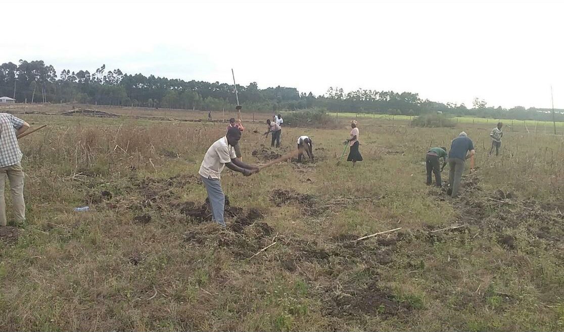 People working on a bare field