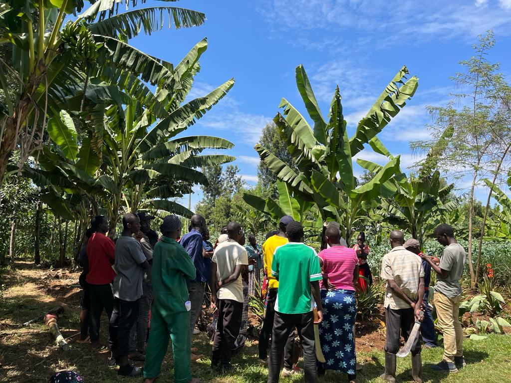 Group of black people in front of a banana plantation